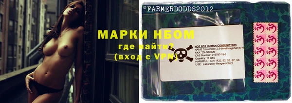 мет Касимов