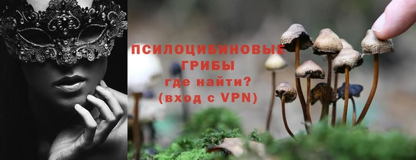 ГАЛЛЮЦИНОГЕННЫЕ ГРИБЫ Карпинск