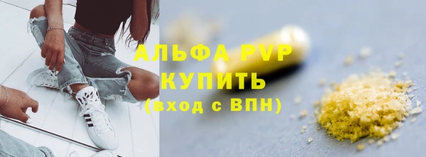 PSILOCYBIN Каменногорск
