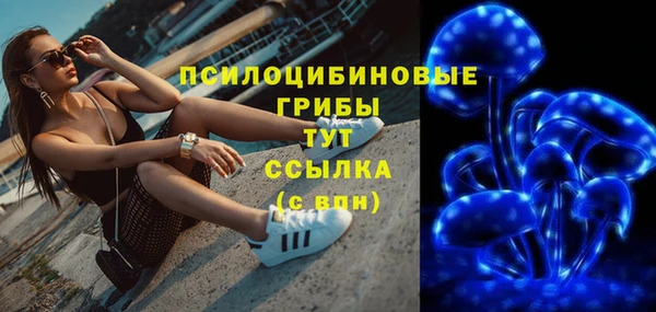 ГАЛЛЮЦИНОГЕННЫЕ ГРИБЫ Карпинск