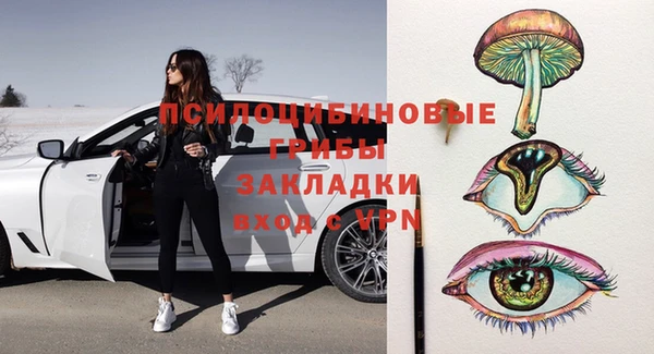 мет Касимов