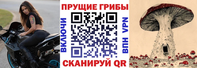 как найти наркотики  Кинешма  Галлюциногенные грибы прущие грибы 